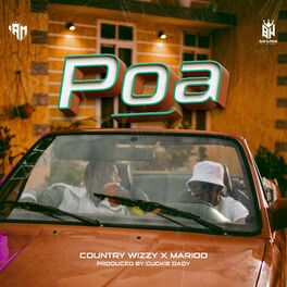 Album cover of Poa (feat. Marioo)