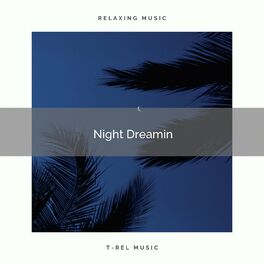 Album cover of 4 Night Dreamin