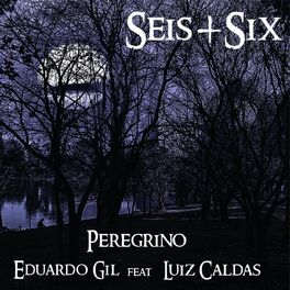 Album cover of Peregrino