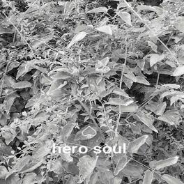 Album cover of Hero Soul