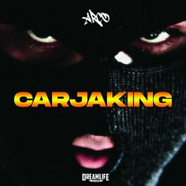 Album cover of carjaking