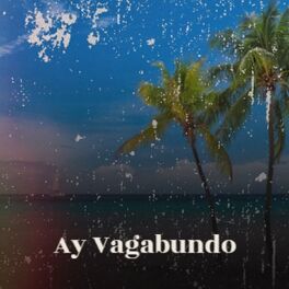 Album cover of Ay Vagabundo