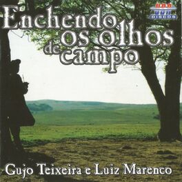 Album cover of Enchendo Os Olhos de Campo