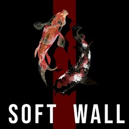 Album cover of SOFT WALL