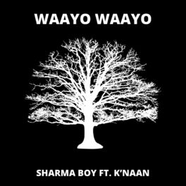 Album cover of Waayo Waayo (feat. K'naan)