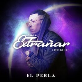 Album cover of Lo Vas a Extrañar (Remix)