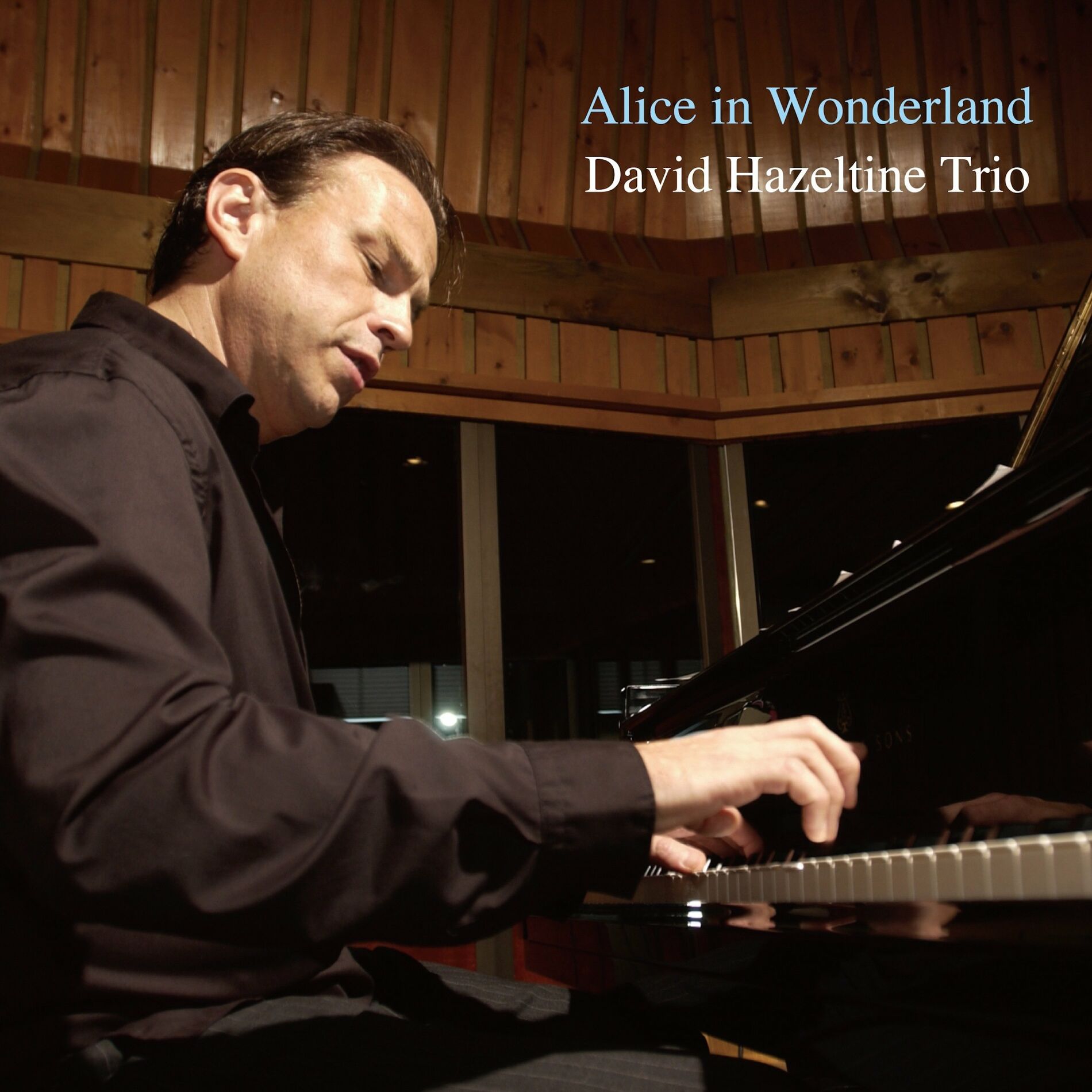 David Hazeltine Trio: albums, songs, playlists | Listen on Deezer