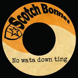Album cover of No Wata Down Ting