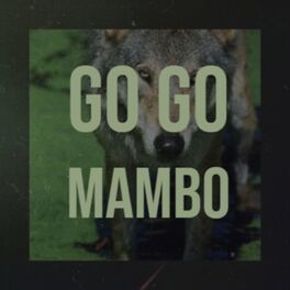 Album cover of Go Go Mambo