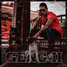 Album cover of Geng II