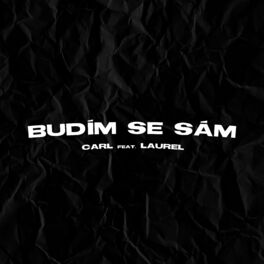 Album cover of Budím se sám (feat. LAUREL)