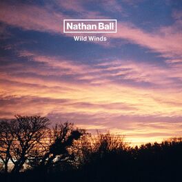 Album cover of Wild Winds