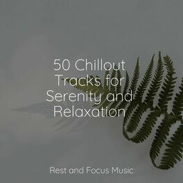 Album cover of 50 Chillout Tracks for Serenity and Relaxation