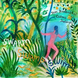 Album cover of Swarm Swamp Swim
