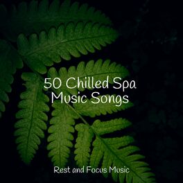 Album cover of 50 Chilled Spa Music Songs