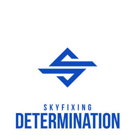Album cover of Determination