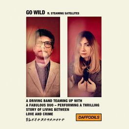 Album cover of Go Wild