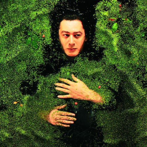 Alain Bashung Fantaisie Militaire Lyrics And Songs Deezer