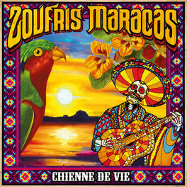 Album cover of Chienne de vie
