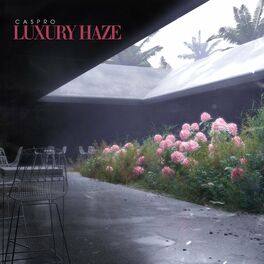 Album cover of Luxury Haze