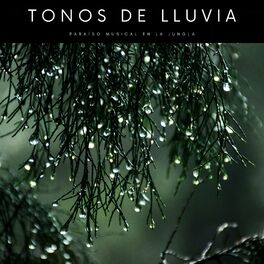 Album cover of Tonos De Lluvia: Paraíso Musical En La Jungla