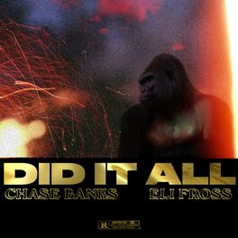 Album cover of DID IT ALL