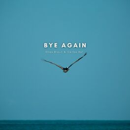 Album cover of Bye Again