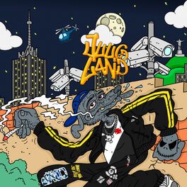 Album cover of JUUGLAND