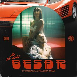 Album cover of No Te Debí Besar