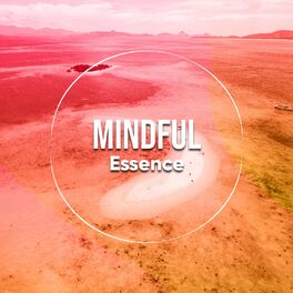 Album cover of Mindful Essence