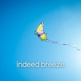 Album cover of Indeed Breeze (Inner Sense)