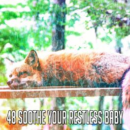 Album cover of 48 Soothe Your Restless Baby