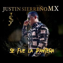 Album cover of Se Fue la Pantera