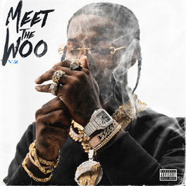 Album cover of Meet The Woo 2