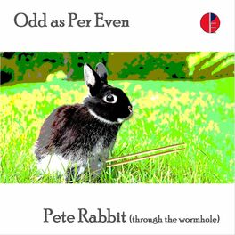 Album cover of Pete Rabbit (..... through the wormhole)