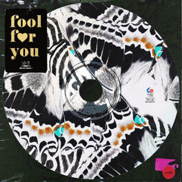 Album cover of Fool For You, Vol. 2 - RnB