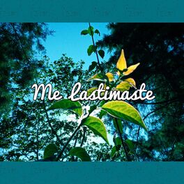 Album cover of Me Lastimaste