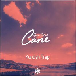 Album cover of Cane (feat. Aram Serhad)