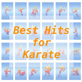 Album cover of Best Hits for Karate