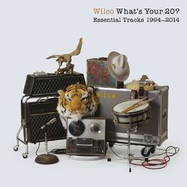 Album cover of What's Your 20? Essential Tracks 1994 - 2014