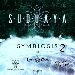 Album cover of Symbiosis (Part 2)