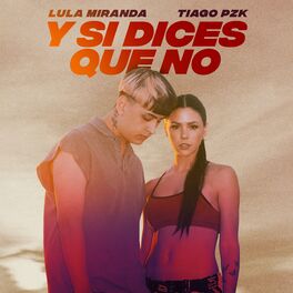 Album cover of Y Si Dices Que No