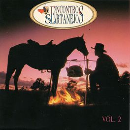 Album cover of Encontros Sertanejos, Vol. 2