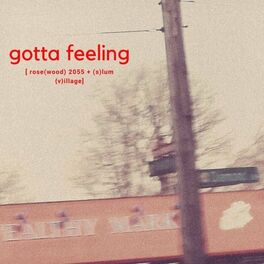 Album cover of Gotta Feeling
