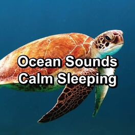 Album cover of Ocean Sounds Calm Sleeping