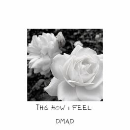 Album cover of This How I Feel