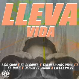 Album cover of Lleva Vida
