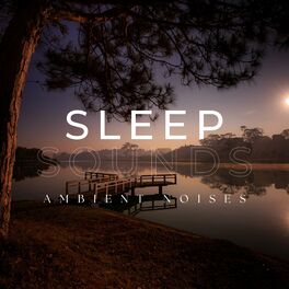 Album cover of Sleep Sounds Ambient Noises