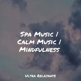 Album cover of Spa Music | Calm Music | Mindfulness
