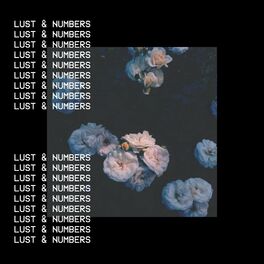 Album cover of Lust & Numbers (feat. Flow & Robert John)